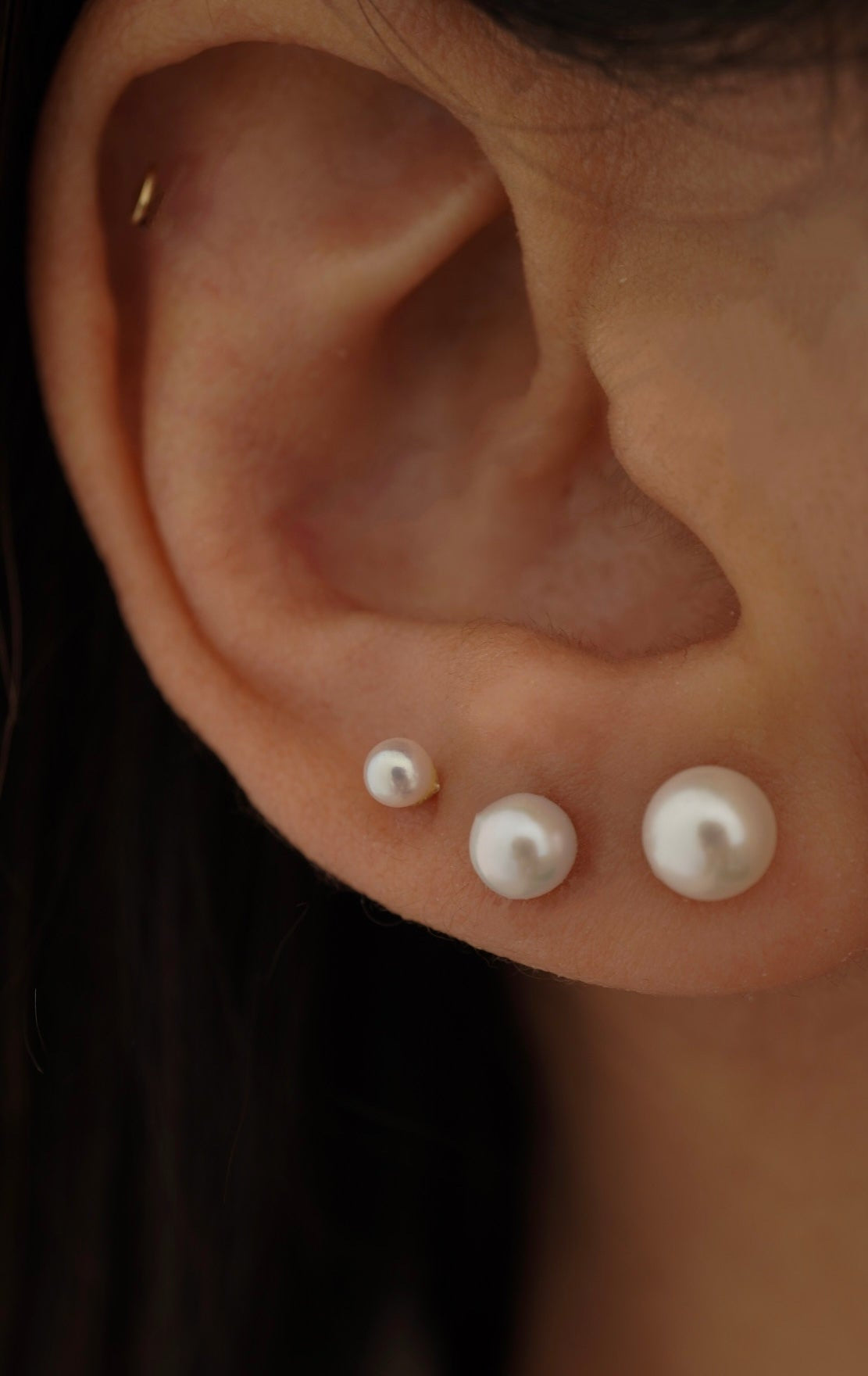 Pearl Studs